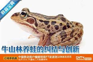 国产青蛙3p在线视频  第3张