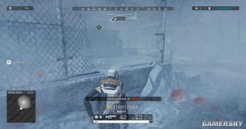 国产游戏视频吃鸡女生,国产游戏吃鸡中的魅力女生风采  第3张