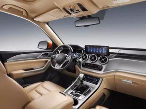 国产野马t80视频室内,驾驭激情，尽享驾驭乐趣  第3张